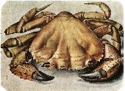 Albrecht Durer Lobster 1495 Watercolour and gouache oil painting on canvas